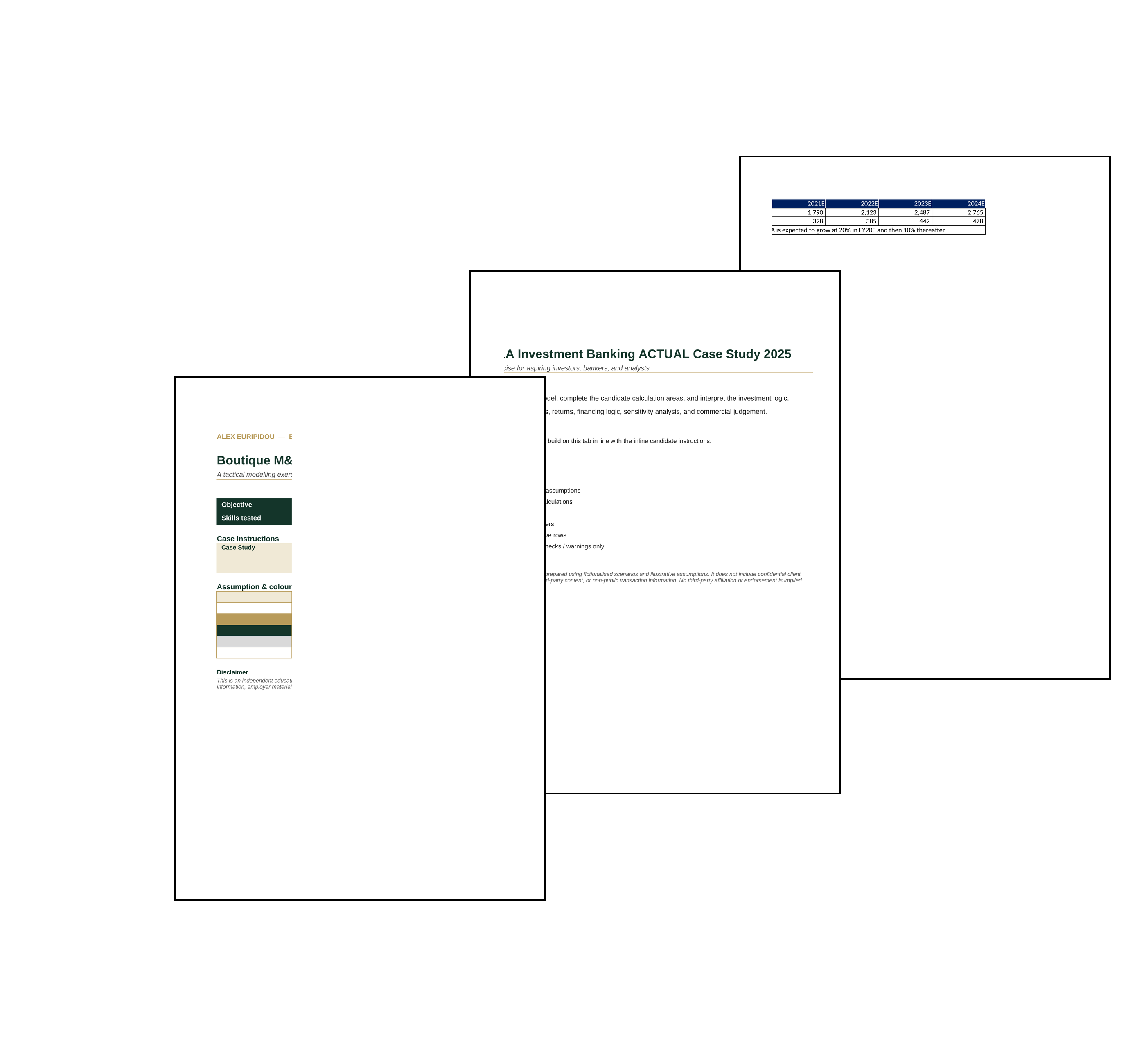 EQUITEQ M&A INVESTMENT BANKING (ACTUAL CASE STUDY 2025)